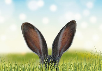 Το Αυτί (Ους)