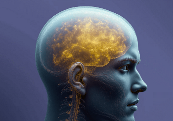 Αγγειακά Εγκεφαλικά Επεισόδια Αγγειακά Εγκεφαλικά Επεισόδια