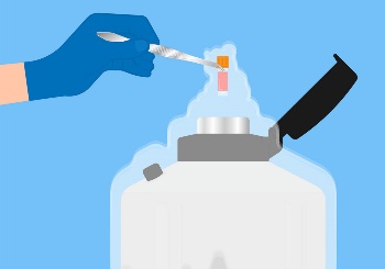 Freeze All - Εξωσωματική γονιμοποίηση με κρυοσυντήρηση όλων των εμβρύων