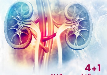 4+1 Μύθοι και αλήθειες για τις παθήσεις νεφρού