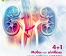 4+1 Μύθοι και αλήθειες για τις παθήσεις νεφρού