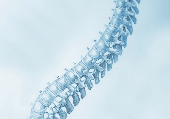 Σπονδυλική Στήλη χωρίς προβλήματα