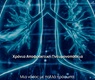 Χρόνια Αποφρακτική Πνευμονοπάθεια: Μια συχνή νόσος, με πολλά πρόσωπα και η σύγχρονη εξατομικευμένη θεραπεία της