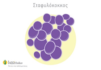 ΣΤΑΦΥΛΟΚΟΚΚΟΣ