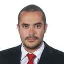 MANOUSAKIS STYLIANOS MANOUSAKIS STYLIANOS