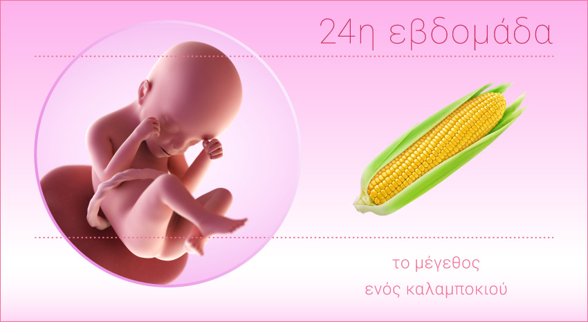 8η εβδομάδα εγκυμοσύνης: Βρεφική ανάπτυξη και συμβουλές διατροφής