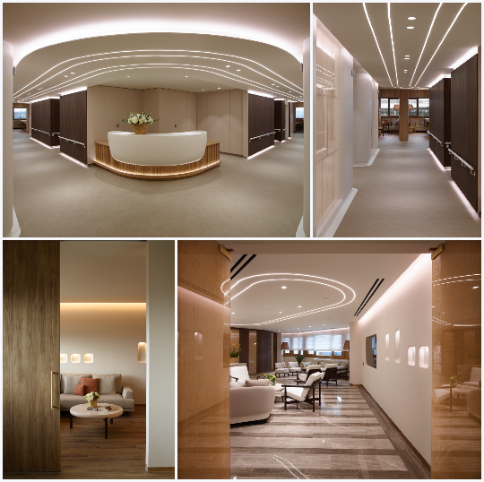 New Luxury Wing