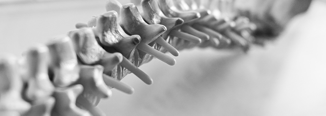 Futuristic Interface Display of Human Male Spinal Cord on dark background